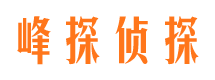 民乐侦探